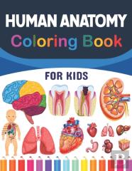 Human Anatomy Coloring Book For Kids