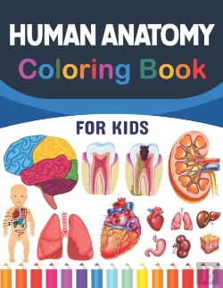 Bertrand.pt - Human Anatomy Coloring Book For Kids