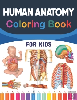 Bertrand.pt - Human Anatomy Coloring Book For Kids