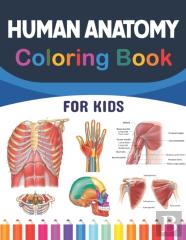 Human Anatomy Coloring Book For Kids