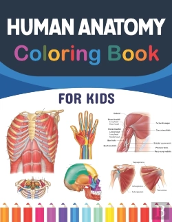 Bertrand.pt - Human Anatomy Coloring Book For Kids