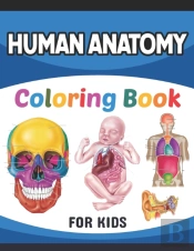 Human Anatomy Coloring Book For Kids