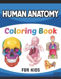 Bertrand.pt - Human Anatomy Coloring Book For Kids