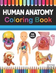 Human Anatomy Coloring Book For Kids