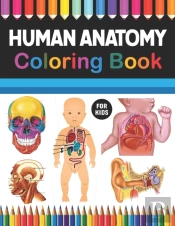 Human Anatomy Coloring Book For Kids