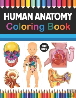 Bertrand.pt - Human Anatomy Coloring Book For Kids