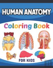 Human Anatomy Coloring Book For Kids