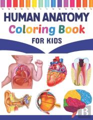 Human Anatomy Coloring Book For Kids
