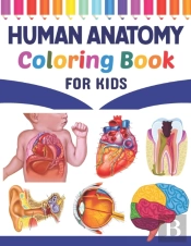 Human Anatomy Coloring Book For Kids