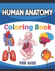 Human Anatomy Coloring Book For Kids