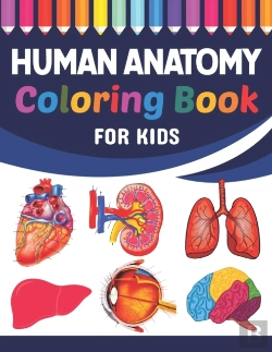 Bertrand.pt - Human Anatomy Coloring Book For Kids