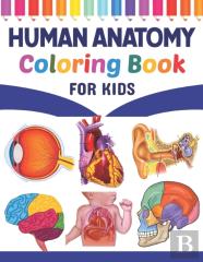 Human Anatomy Coloring Book For Kids