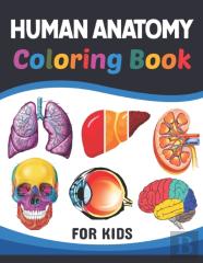 Human Anatomy Coloring Book For Kids