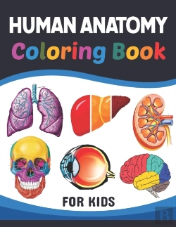Bertrand.pt - Human Anatomy Coloring Book For Kids