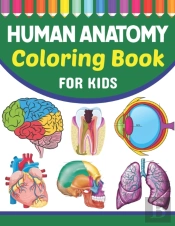 Human Anatomy Coloring Book For Kids