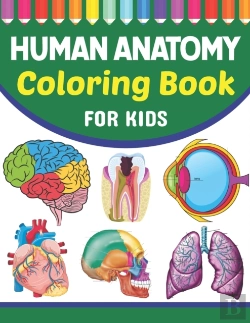 Bertrand.pt - Human Anatomy Coloring Book For Kids