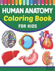 Human Anatomy Coloring Book For Kids