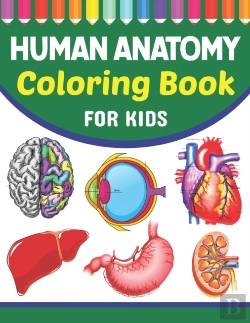 Bertrand.pt - Human Anatomy Coloring Book For Kids