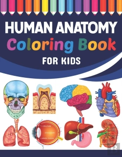 Bertrand.pt - Human Anatomy Coloring Book For Kids