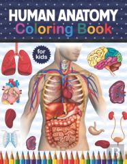 Human Anatomy Coloring Book For Kids