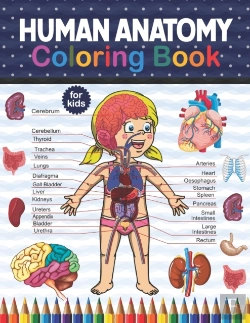 Bertrand.pt - Human Anatomy Coloring Book For Kids