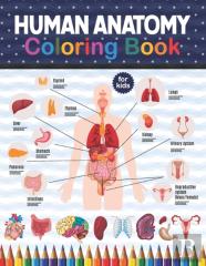 Human Anatomy Coloring Book For Kids