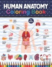 Human Anatomy Coloring Book For Kids