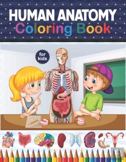 Bertrand.pt - Human Anatomy Coloring Book For Kids
