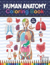 Human Anatomy Coloring Book For Kids