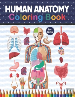 Bertrand.pt - Human Anatomy Coloring Book For Kids