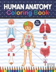 Human Anatomy Coloring Book For Kids