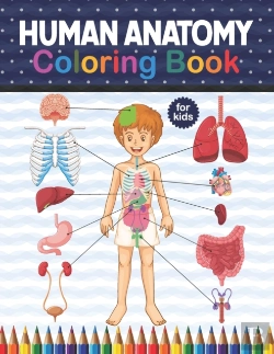 Bertrand.pt - Human Anatomy Coloring Book For Kids