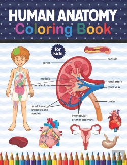 Bertrand.pt - Human Anatomy Coloring Book For Kids
