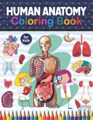 Human Anatomy Coloring Book For Kids