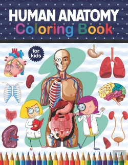 Bertrand.pt - Human Anatomy Coloring Book For Kids