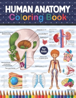 Bertrand.pt - Human Anatomy Coloring Book For Kids