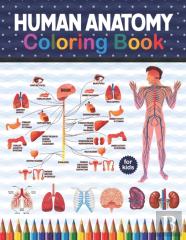 Human Anatomy Coloring Book For Kids