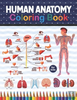 Bertrand.pt - Human Anatomy Coloring Book For Kids