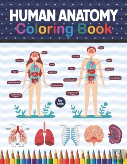 Bertrand.pt - Human Anatomy Coloring Book For Kids