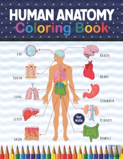 Bertrand.pt - Human Anatomy Coloring Book For Kids