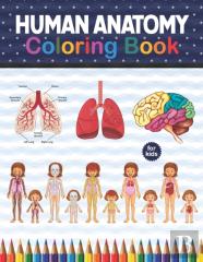 Human Anatomy Coloring Book For Kids