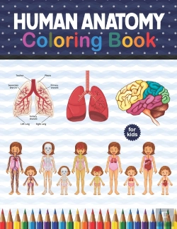 Bertrand.pt - Human Anatomy Coloring Book For Kids