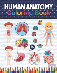 Human Anatomy Coloring Book For Kids