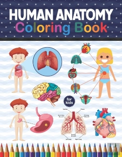 Bertrand.pt - Human Anatomy Coloring Book For Kids