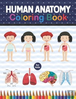 Bertrand.pt - Human Anatomy Coloring Book For Kids