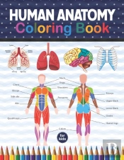 Human Anatomy Coloring Book For Kids