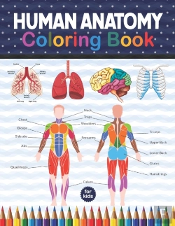 Bertrand.pt - Human Anatomy Coloring Book For Kids