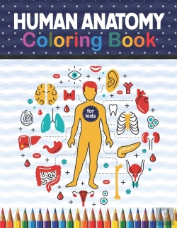 Bertrand.pt - Human Anatomy Coloring Book For Kids