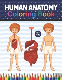 Bertrand.pt - Human Anatomy Coloring Book For Kids