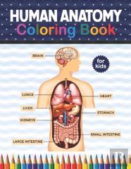 Human Anatomy Coloring Book For Kids